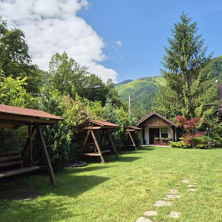 Pensiunea Dumbravita Hotel Riu de Mori Bagian luar foto