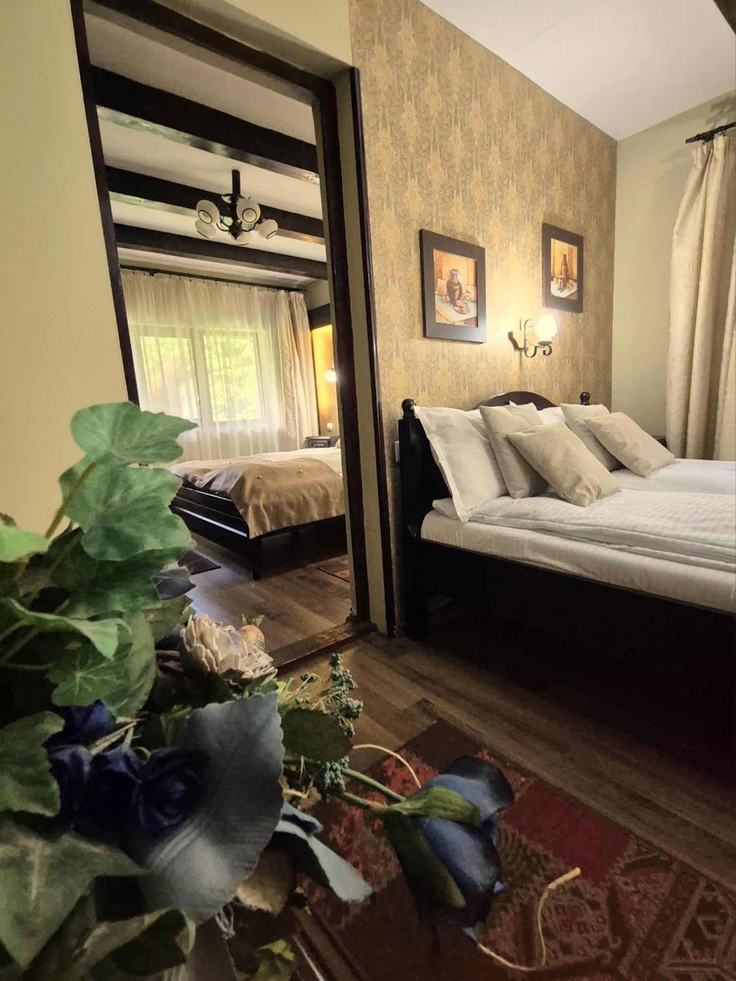 Pensiunea Dumbravita Hotel Riu de Mori Bagian luar foto