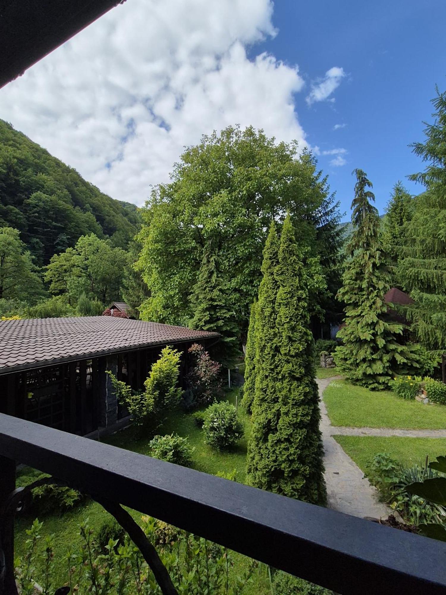 Pensiunea Dumbravita Hotel Riu de Mori Bagian luar foto